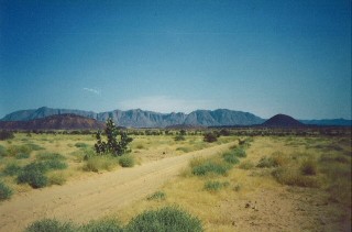 A l'horizon, les massifs de l'Aïr