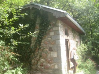 En pleine forêt En pleine forêt