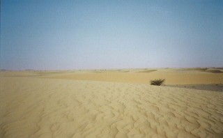 Sables du Ténéré