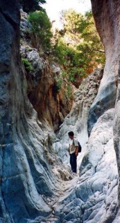 Gorges près de Kritsa