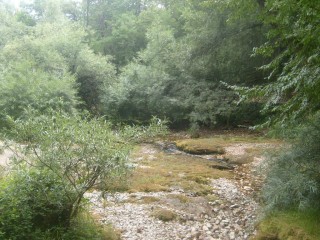 La nature est belle
