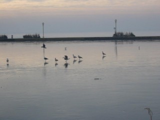 Lac de Tanchet gelé 2009