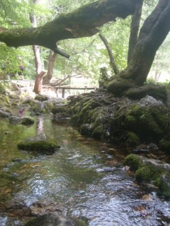 L'éco parc