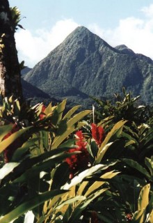 Les pitons du carbet