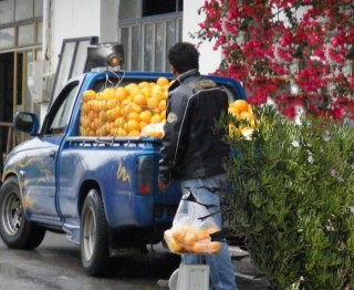 Marchand d'oranges Marchand d'oranges