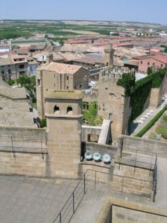 Vue du Palais médiéval d'Olite (Navarre)