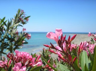 Paysage!