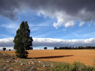 Paysage de la Mancha