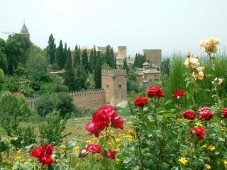 Vue d'ensemble