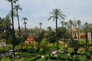 Photo du Real Alcazar Photo du Real Alcazar