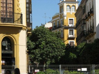 Photo du Barrio de Santa Cruz 