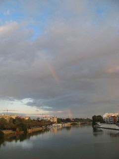 Photo de la Torre de Oro à Séville (Andalousie)