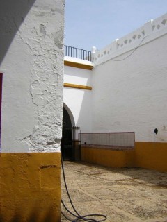 MAESTRANZA : Photo de la Maestranza (arènes) à...