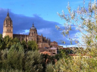 Photo de Salamanque (Salamanca) - Castille-Léon