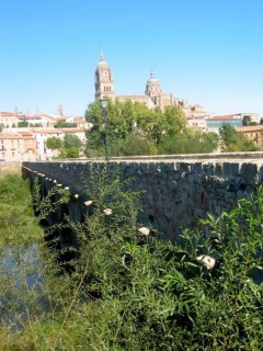 Photo de Salamanque (Salamanca) - Castille-Léon