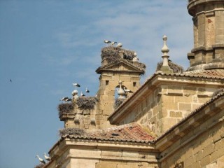 Photo de Salamanque (Salamanca) - Castille-Léon