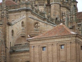 Photo de Salamanque (Salamanca) - Castille-Léon Photo de Salamanque (Salamanca) - Castille-Léon