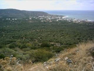 Plateau de lassithi