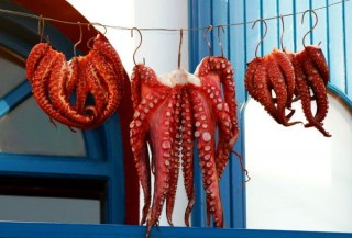 Poulpes devant un restaurant à Fira