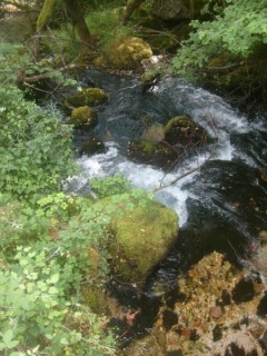 Remontée du cours d'eau Remontée du cours d'eau