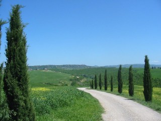 Sur la route de Pienza