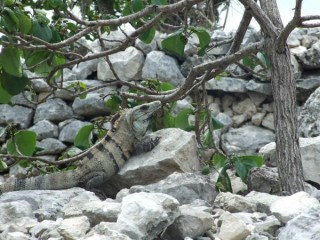 Tulum