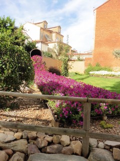 Une belle coulée, vague fleurie