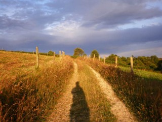 Une de mes plus belles photos