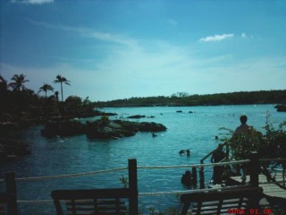 Xelha