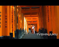Kyoto: le sanctuaire Fushimi Inari-taisha