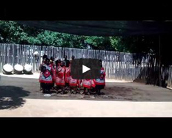 Chants et danses du Swaziland (3/4) 