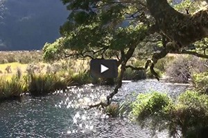 Le parc national de Fiordland