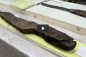 Dcouverte de mtal dans une barque pharaonique